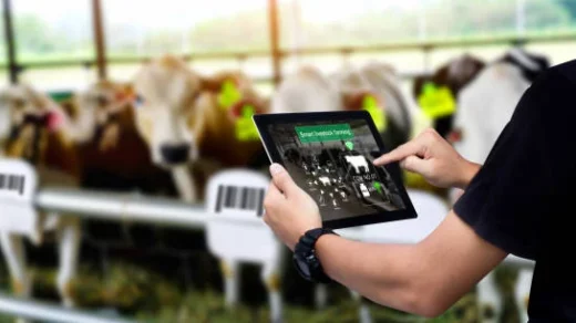 smart sensors